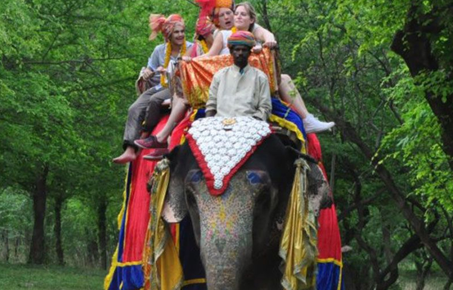 14 days Wildlife and Cultural Highlights of India