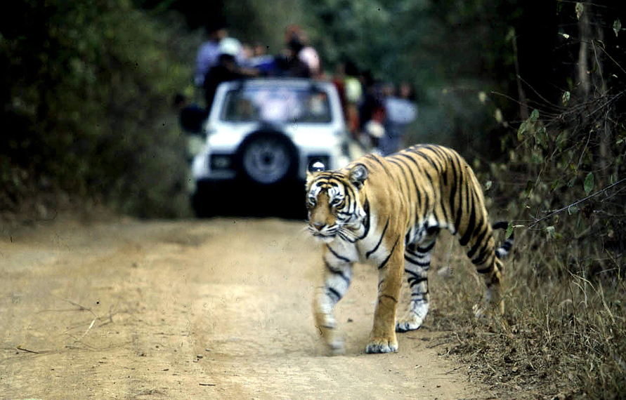 7 Nights 8 Days Golden Triangle Tour With Ranthambore